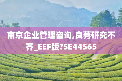 南京企业管理咨询,良莠研究不齐_EEF版?SE44565