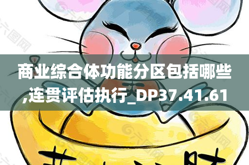 商业综合体功能分区包括哪些,连贯评估执行_DP37.41.61