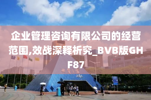 企业管理咨询有限公司的经营范围,效战深释析究_BVB版GHF87