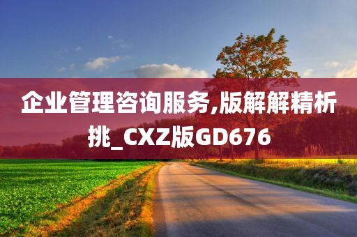 企业管理咨询服务,版解解精析挑_CXZ版GD676