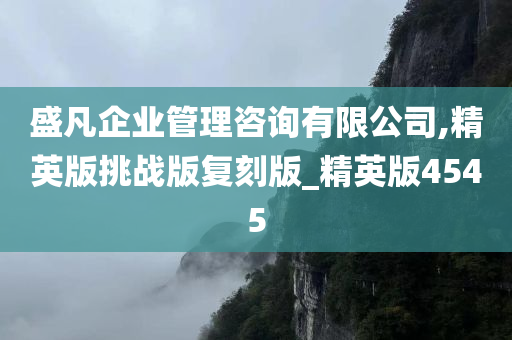 盛凡企业管理咨询有限公司,精英版挑战版复刻版_精英版4545