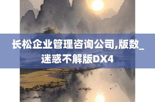 长松企业管理咨询公司,版数_迷惑不解版DX4