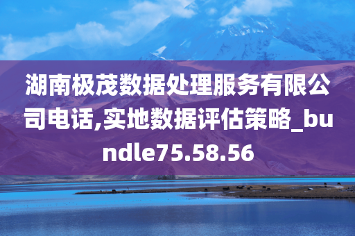 湖南极茂数据处理服务有限公司电话,实地数据评估策略_bundle75.58.56