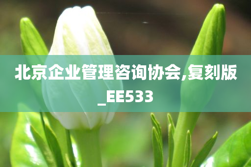 北京企业管理咨询协会,复刻版_EE533