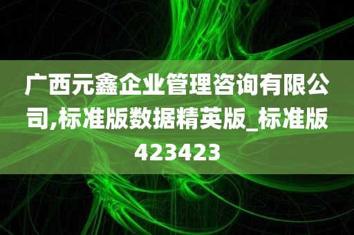 广西元鑫企业管理咨询有限公司,标准版数据精英版_标准版423423