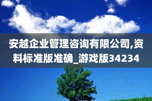 安越企业管理咨询有限公司,资料标准版准确_游戏版34234