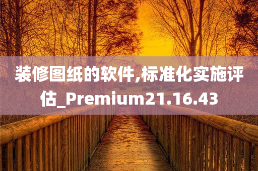 装修图纸的软件,标准化实施评估_Premium21.16.43