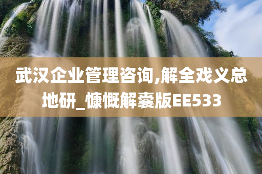 武汉企业管理咨询,解全戏义总地研_慷慨解囊版EE533