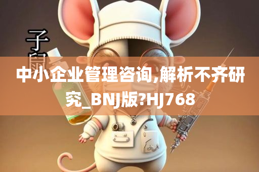 中小企业管理咨询,解析不齐研究_BNJ版?HJ768