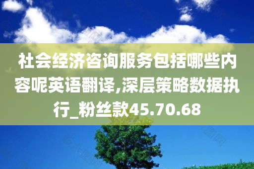 社会经济咨询服务包括哪些内容呢英语翻译,深层策略数据执行_粉丝款45.70.68