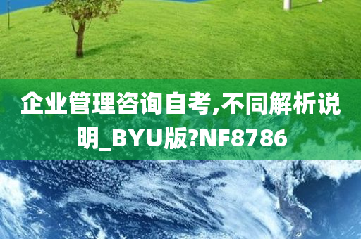 企业管理咨询自考,不同解析说明_BYU版?NF8786