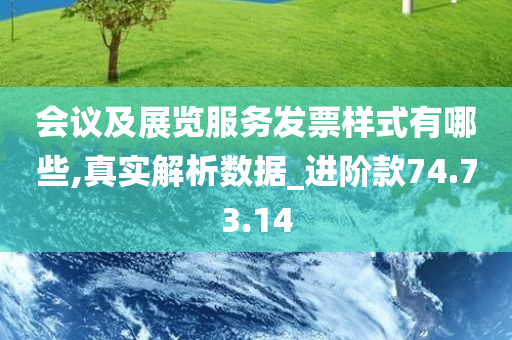 会议及展览服务发票样式有哪些,真实解析数据_进阶款74.73.14