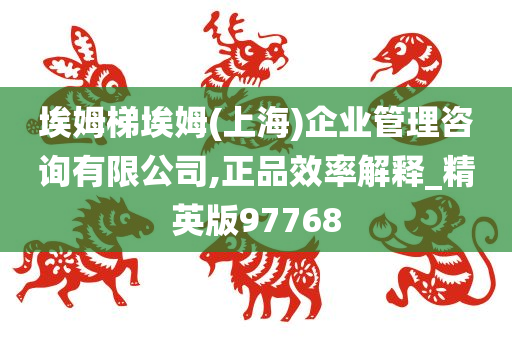 埃姆梯埃姆(上海)企业管理咨询有限公司,正品效率解释_精英版97768