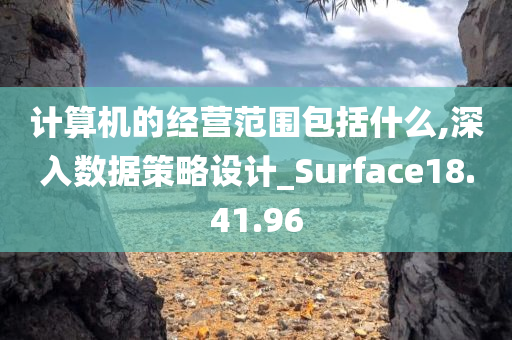 计算机的经营范围包括什么,深入数据策略设计_Surface18.41.96