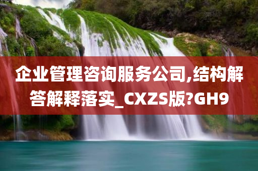 企业管理咨询服务公司,结构解答解释落实_CXZS版?GH9