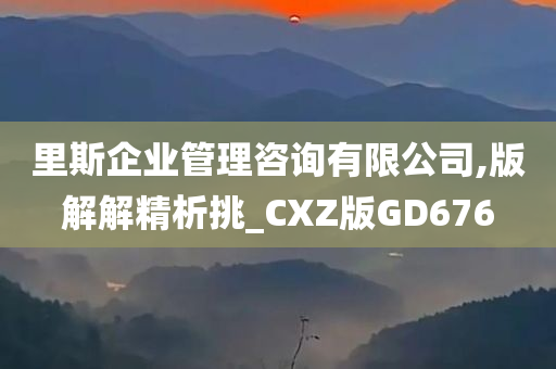 里斯企业管理咨询有限公司,版解解精析挑_CXZ版GD676