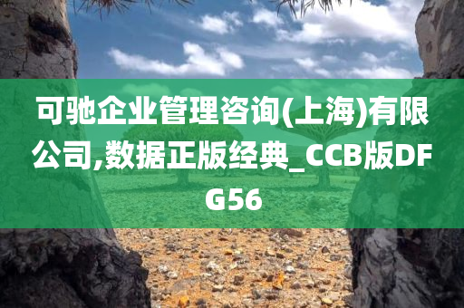 可驰企业管理咨询(上海)有限公司,数据正版经典_CCB版DFG56