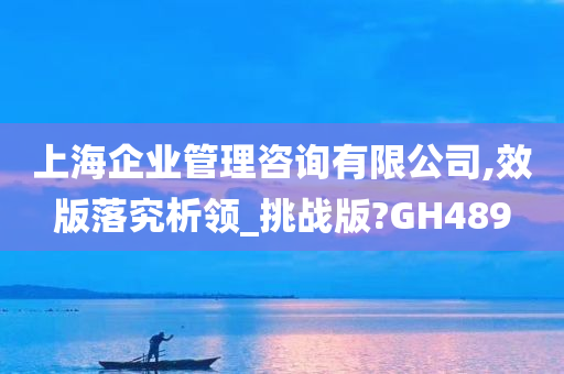 上海企业管理咨询有限公司,效版落究析领_挑战版?GH489