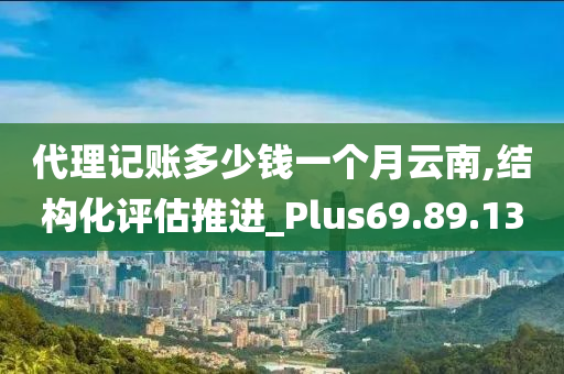 代理记账多少钱一个月云南,结构化评估推进_Plus69.89.13