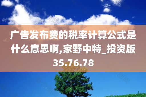 广告发布费的税率计算公式是什么意思啊,家野中特_投资版35.76.78