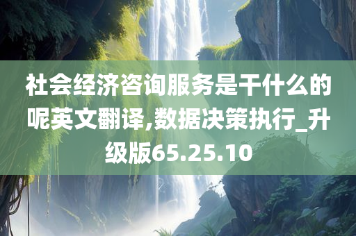 社会经济咨询服务是干什么的呢英文翻译,数据决策执行_升级版65.25.10