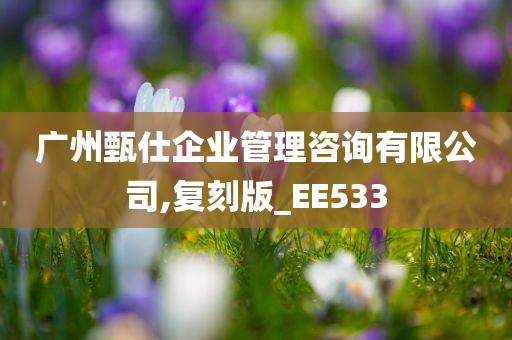 广州甄仕企业管理咨询有限公司,复刻版_EE533