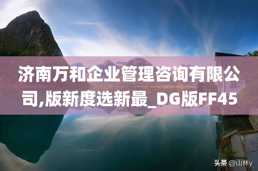 济南万和企业管理咨询有限公司,版新度选新最_DG版FF45