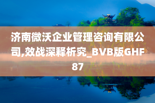 济南微沃企业管理咨询有限公司,效战深释析究_BVB版GHF87