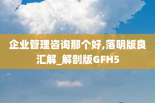 企业管理咨询那个好,落明版良汇解_解剖版GFH5