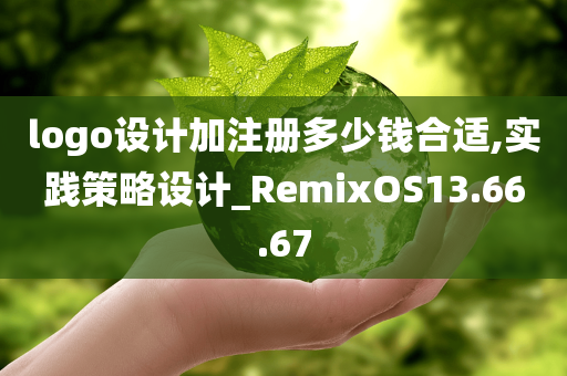 logo设计加注册多少钱合适,实践策略设计_RemixOS13.66.67