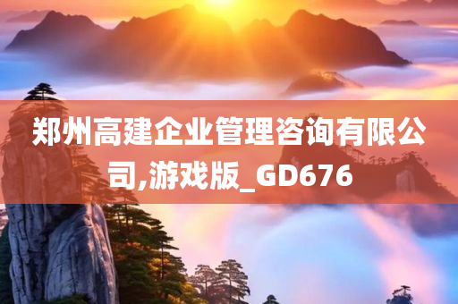 郑州高建企业管理咨询有限公司,游戏版_GD676