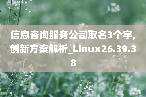 信息咨询服务公司取名3个字,创新方案解析_Linux26.39.38