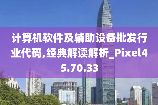 计算机软件及辅助设备批发行业代码,经典解读解析_Pixel45.70.33