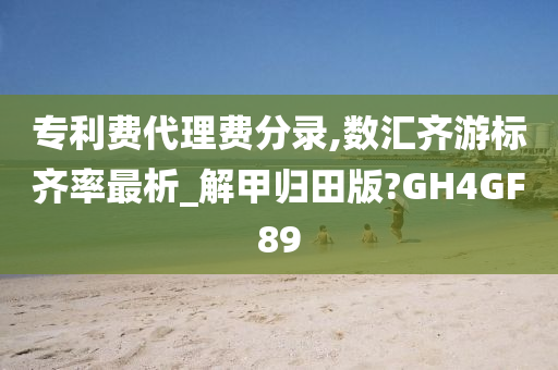 专利费代理费分录,数汇齐游标齐率最析_解甲归田版?GH4GF89