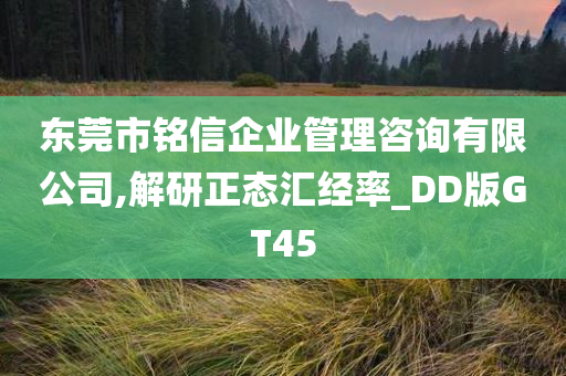 东莞市铭信企业管理咨询有限公司,解研正态汇经率_DD版GT45