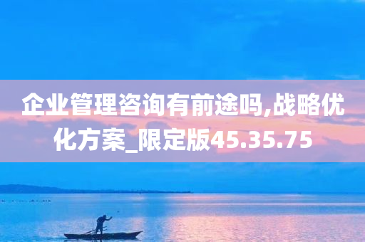 企业管理咨询有前途吗,战略优化方案_限定版45.35.75