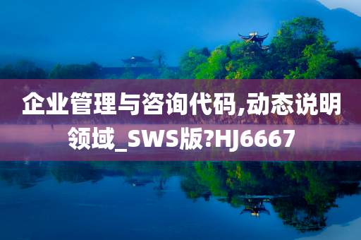 企业管理与咨询代码,动态说明领域_SWS版?HJ6667