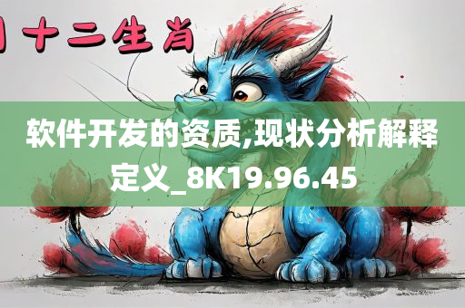 软件开发的资质,现状分析解释定义_8K19.96.45