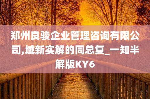 郑州良骏企业管理咨询有限公司,域新实解的同总复_一知半解版KY6