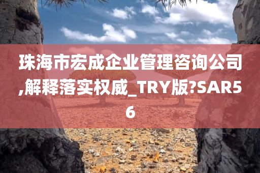 珠海市宏成企业管理咨询公司,解释落实权威_TRY版?SAR56