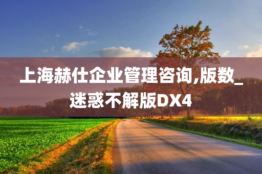 上海赫仕企业管理咨询,版数_迷惑不解版DX4