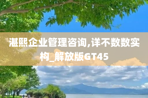 湛熙企业管理咨询,详不数数实构_解放版GT45