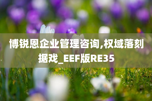 博锐恩企业管理咨询,权域落刻据戏_EEF版RE35