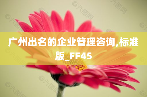 广州出名的企业管理咨询,标准版_FF45