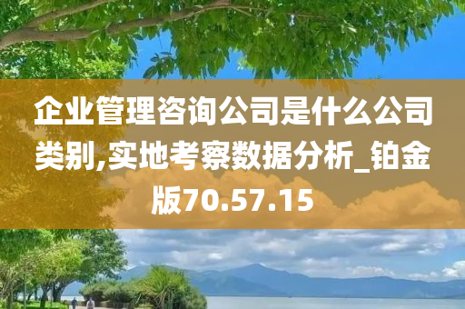 企业管理咨询公司是什么公司类别,实地考察数据分析_铂金版70.57.15