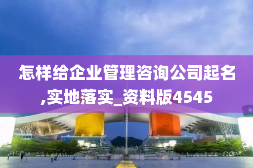 怎样给企业管理咨询公司起名,实地落实_资料版4545