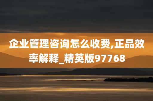 企业管理咨询怎么收费,正品效率解释_精英版97768