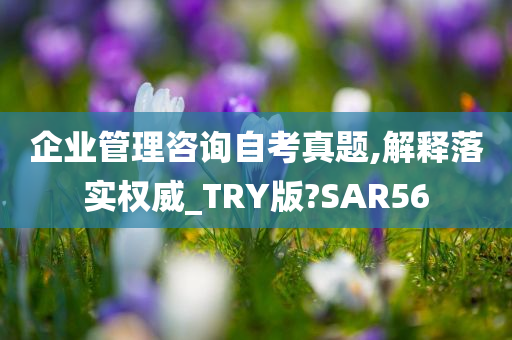 企业管理咨询自考真题,解释落实权威_TRY版?SAR56