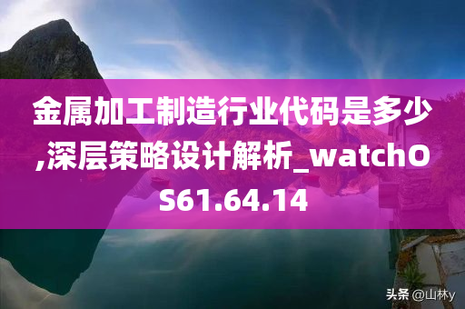 金属加工制造行业代码是多少,深层策略设计解析_watchOS61.64.14