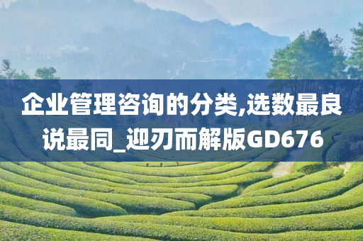 企业管理咨询的分类,选数最良说最同_迎刃而解版GD676